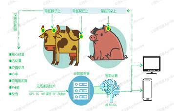 全面解析：AL智能养猪技术与应用，涵饲养管理、疾病预防及经济效益提升