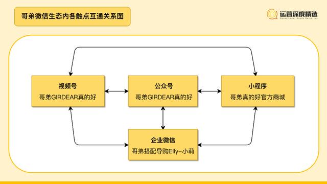 全方位构建高效账号矩阵：策略、技巧与实践指南