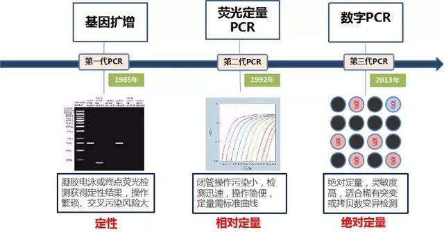 全面解析秘塔OCR：文字识别技术详解与多场景应用指南