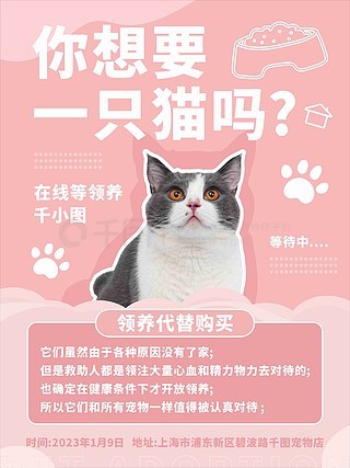 猫咪ai文案素材