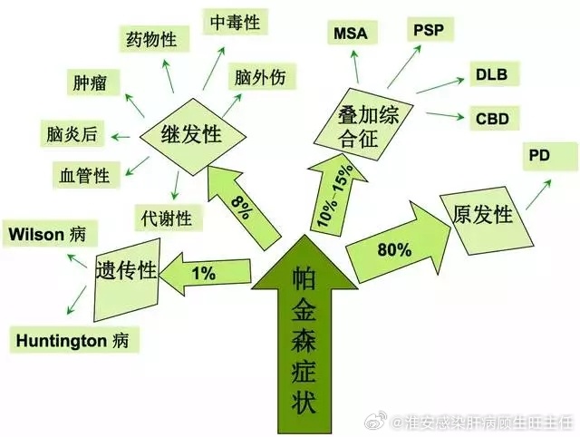 尼克脑病：症状、维生素B1用法用量、成因、治疗及典型四主征解析