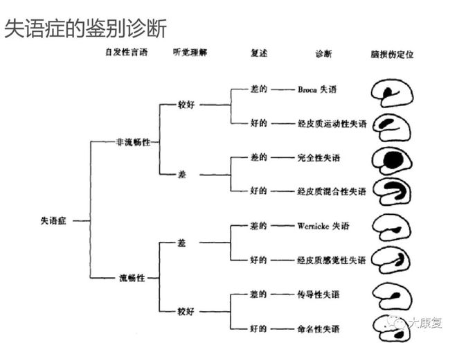 尼克失语症：症状、成因、诊断与治疗全方位解析