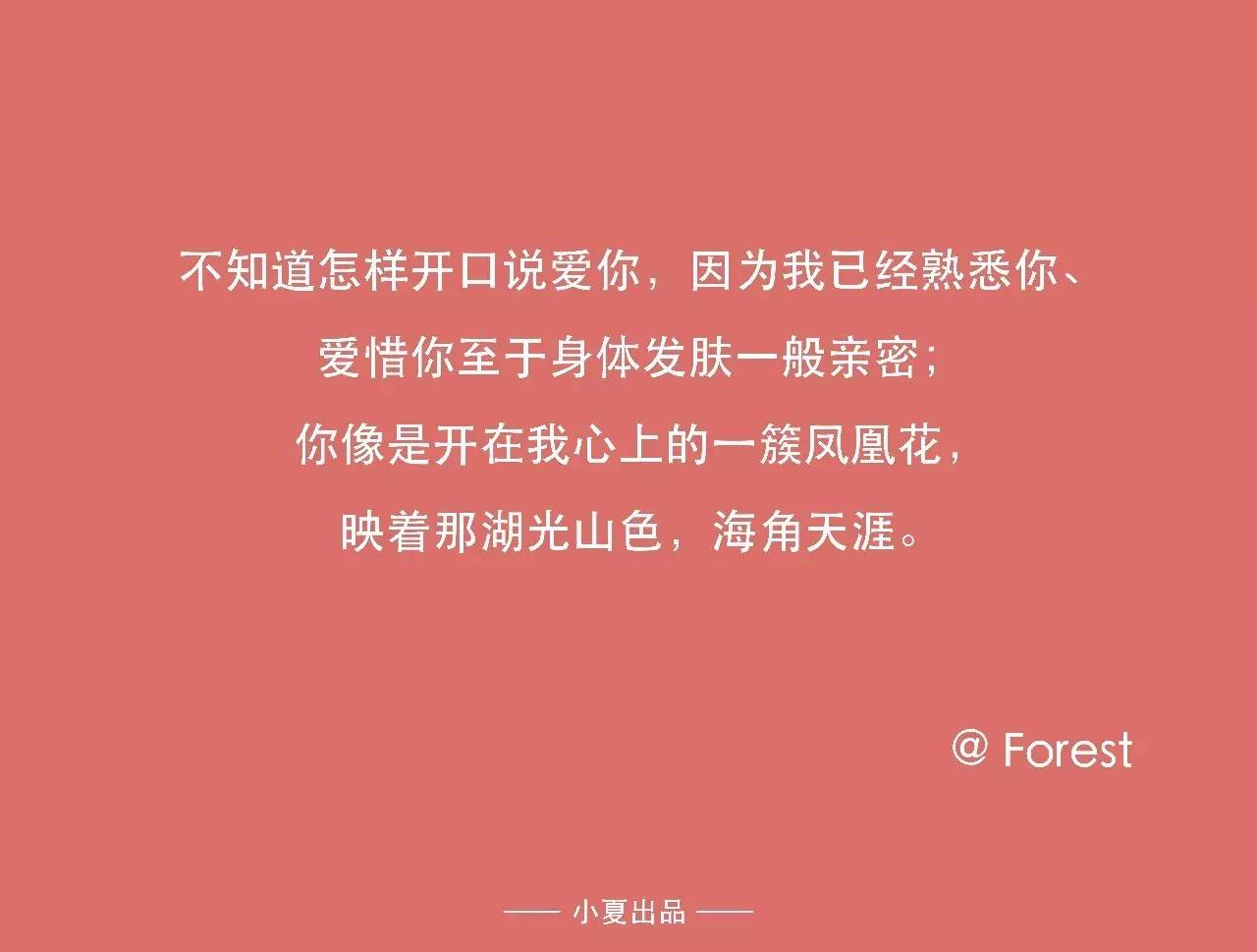 全面收录！爱情文案、情话表白、浪漫语句一站式搜索指南