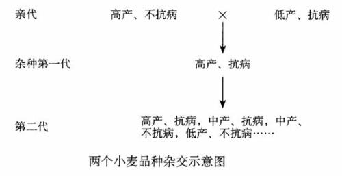 写作实小编：训练原理、AIDA模型应用与写作含义解析