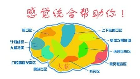 感觉统合测评试题集锦：专业题目解析与能力评估