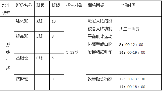 感觉统合训练能力测评结果明细表