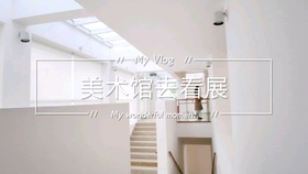 学生写作业vlog：如何选择灯具、照片展示、家长陪伴与否及法律问题探讨