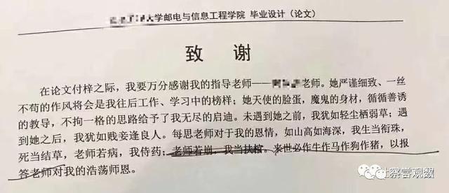 揭秘网络热议：各类高赞论文致谢文汇编与深度解析