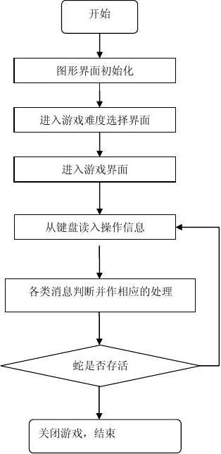 贪吃蛇游戏实验报告：实验总结与报告单撰写全攻略