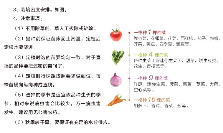 萝作者深度解析：全方位解答关于萝种植、营养、食谱及相关问题的指南