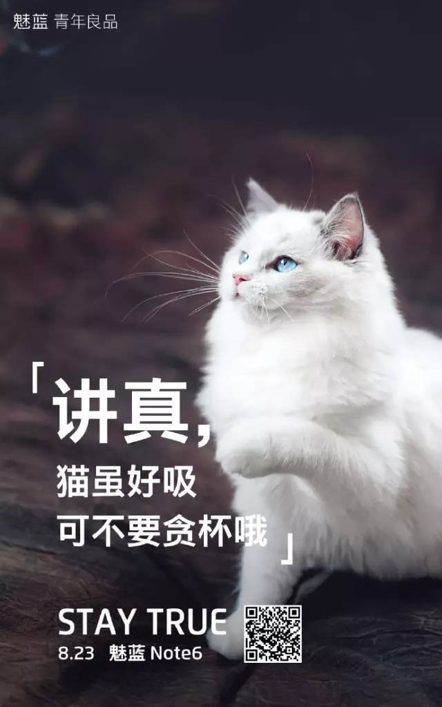 猫文案ai