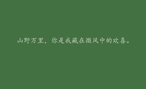 AI创意文案生成：打造浪漫语句、情话及情感表达，全方位解决情感沟通需求