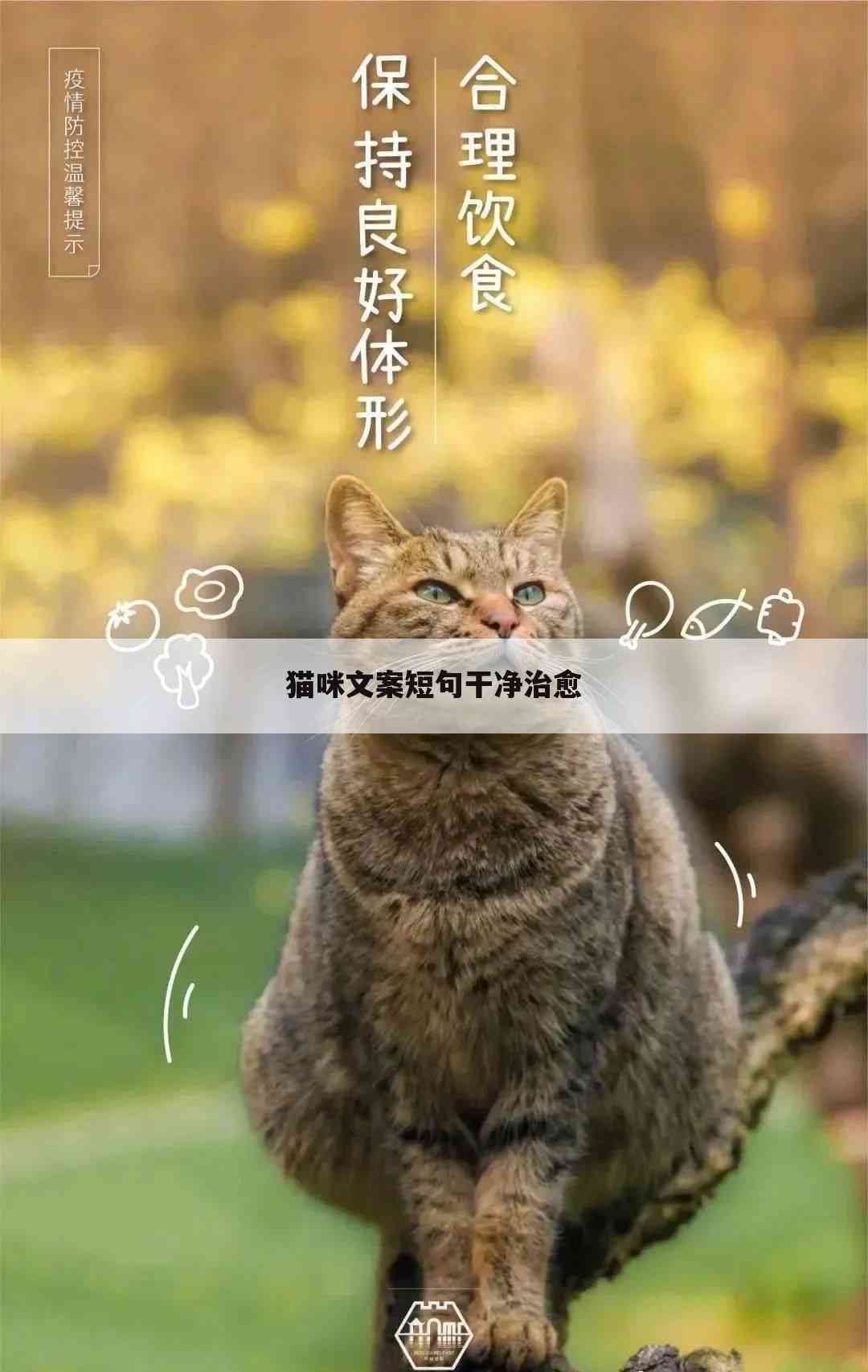 猫咪AI变身文案短句搞笑版大全集锦