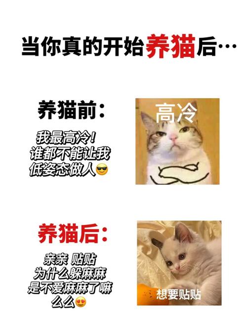 猫咪ai变身文案短句搞笑