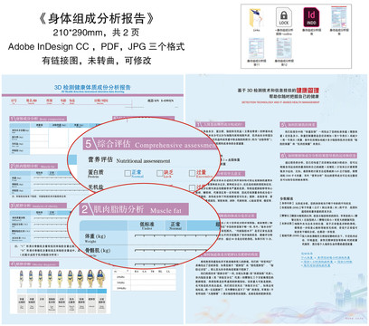 ai体形评估报告模板：免费与安装，含体型评估报告