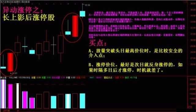 探索未来：13media原创自媒体矩阵全新升级亮相