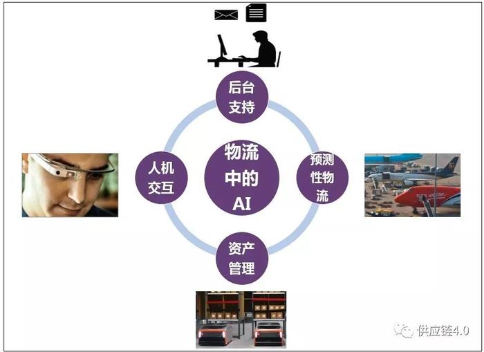 全面解析：数字人文领域的经典案例与应用实践