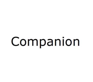 Intelligent Companion: English Translation of AI Partner Copywriting