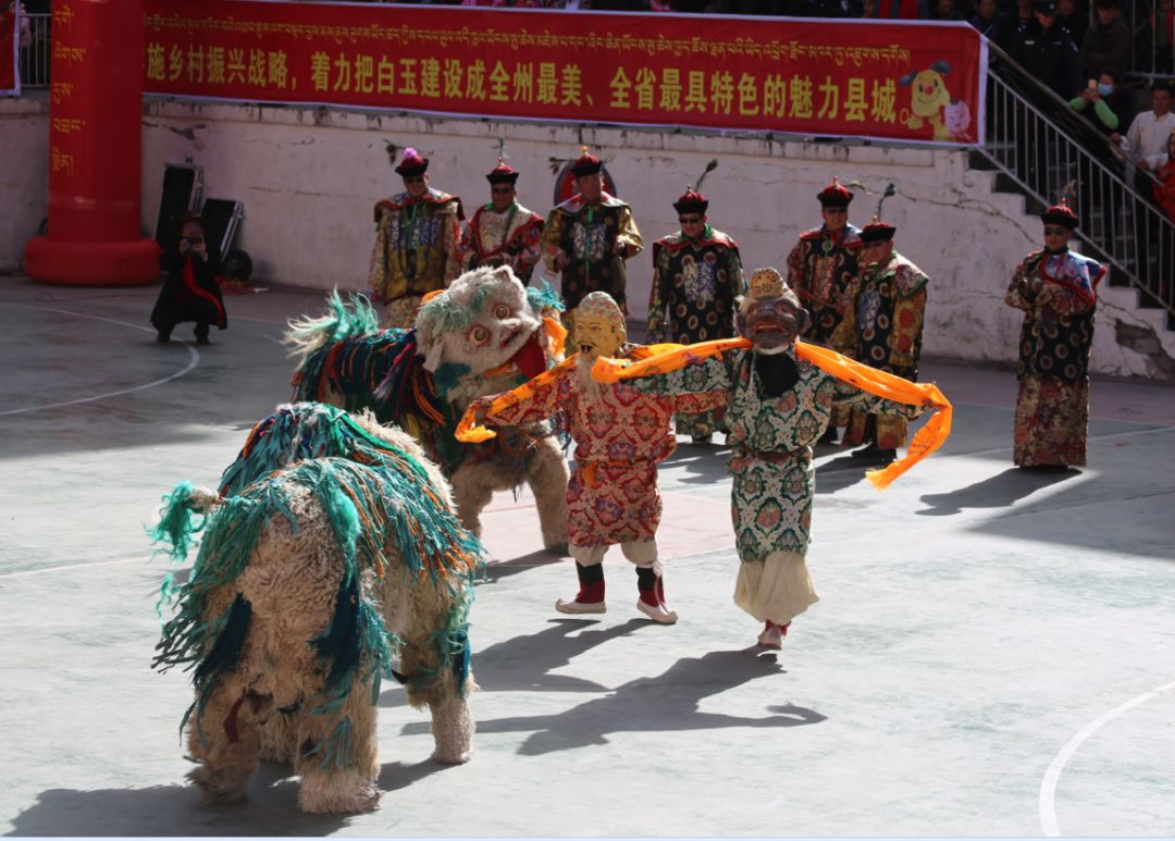 崽崽在哪签到：最新签到地点全攻略与崽崽动态追踪