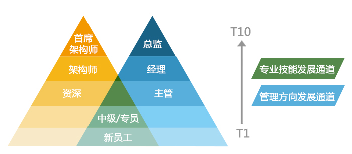 体制内写作人才职业发展攻略：全方位解析晋升路径与技能提升策略