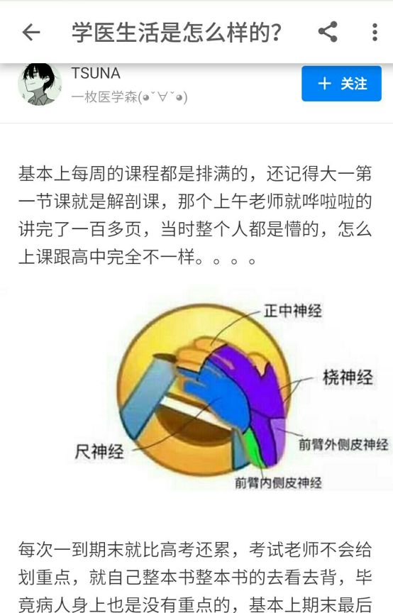 雷nn雷推荐：番茄文库对决AI写作猿，谁更胜一筹？