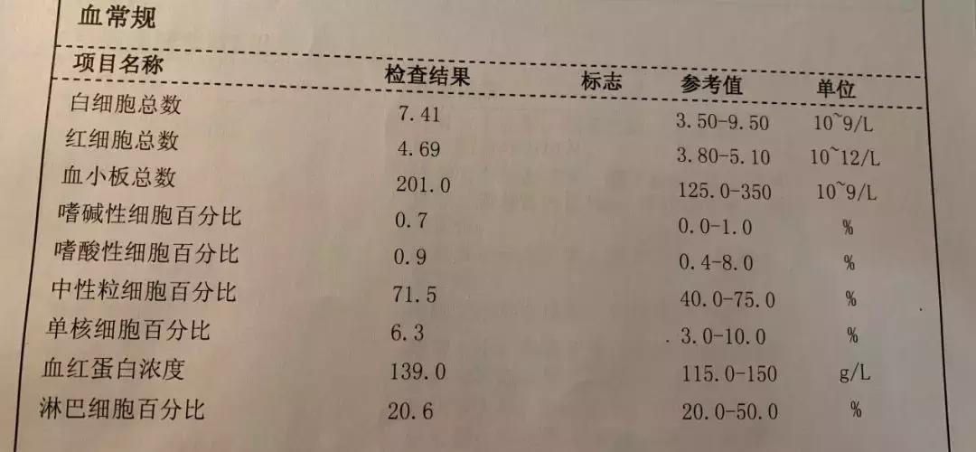 智能体检报告解读助手——全面数据分析软件