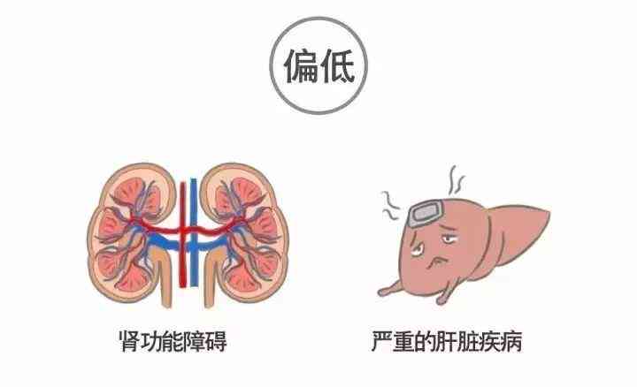 智能体检报告解读助手——全面数据分析软件