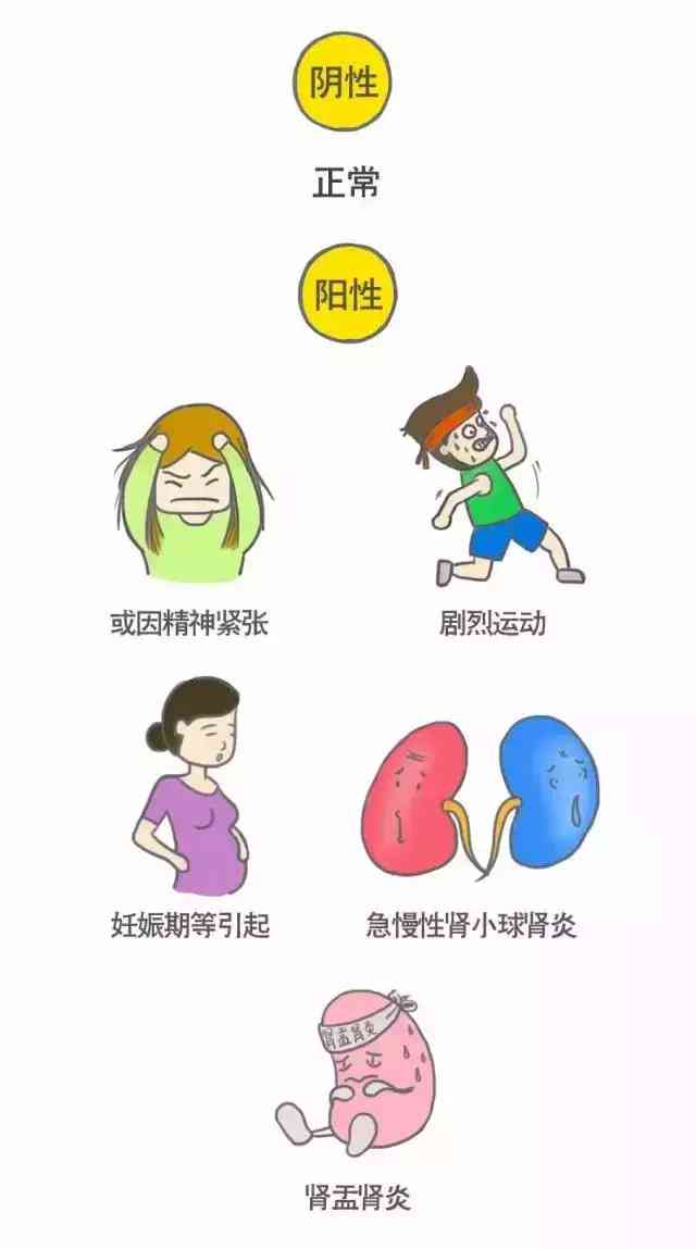 体检报告解读与分析软件：综合对比各大体检报告解读及在线分析工具优劣