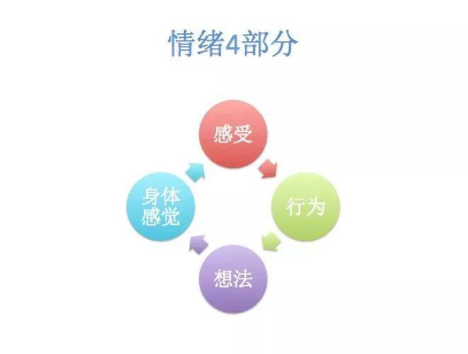 情商修炼：全方位提升情感智慧与人际交往能力作文指南