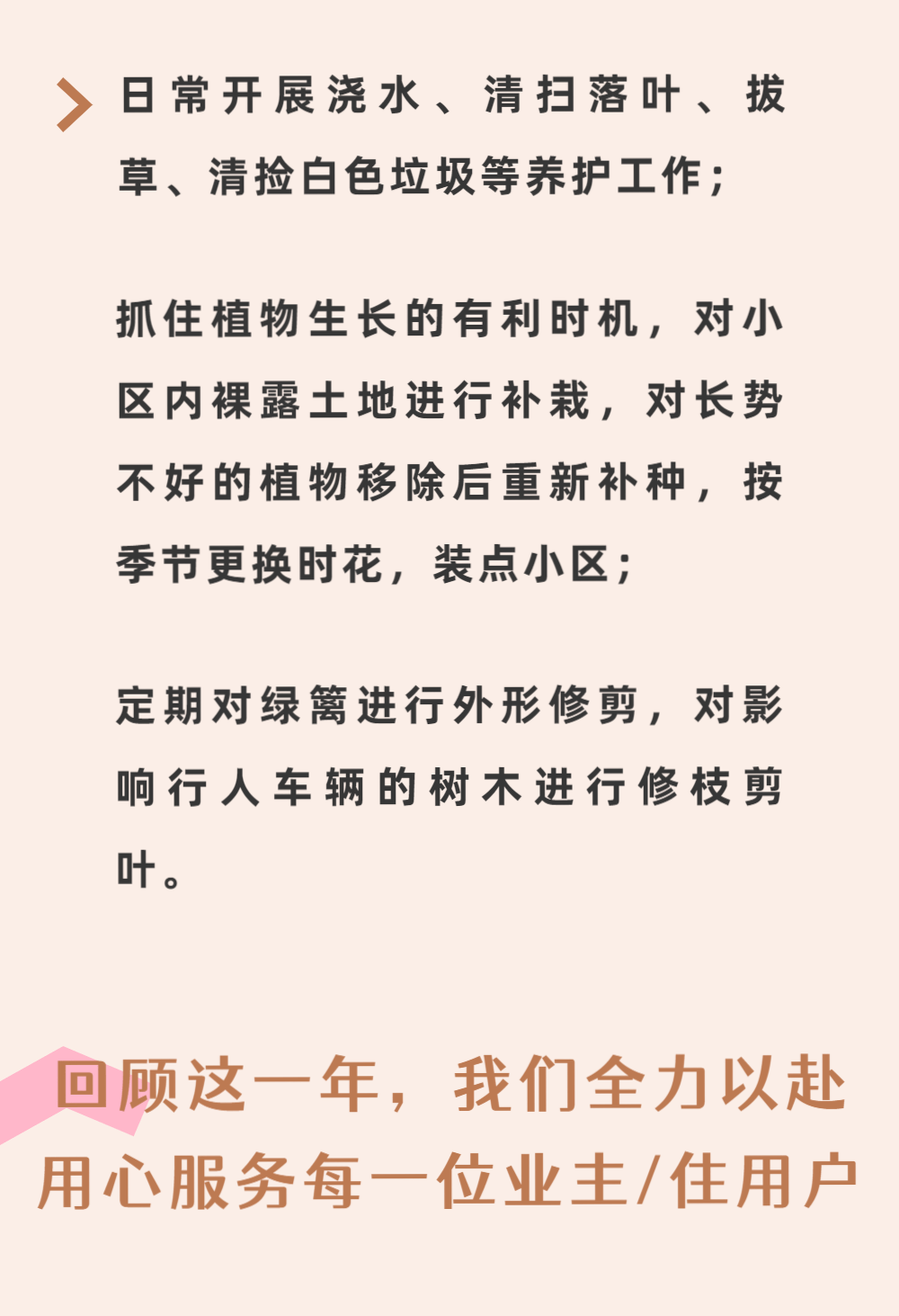 倾听心声：深情寄语心仪主播的悄悄话