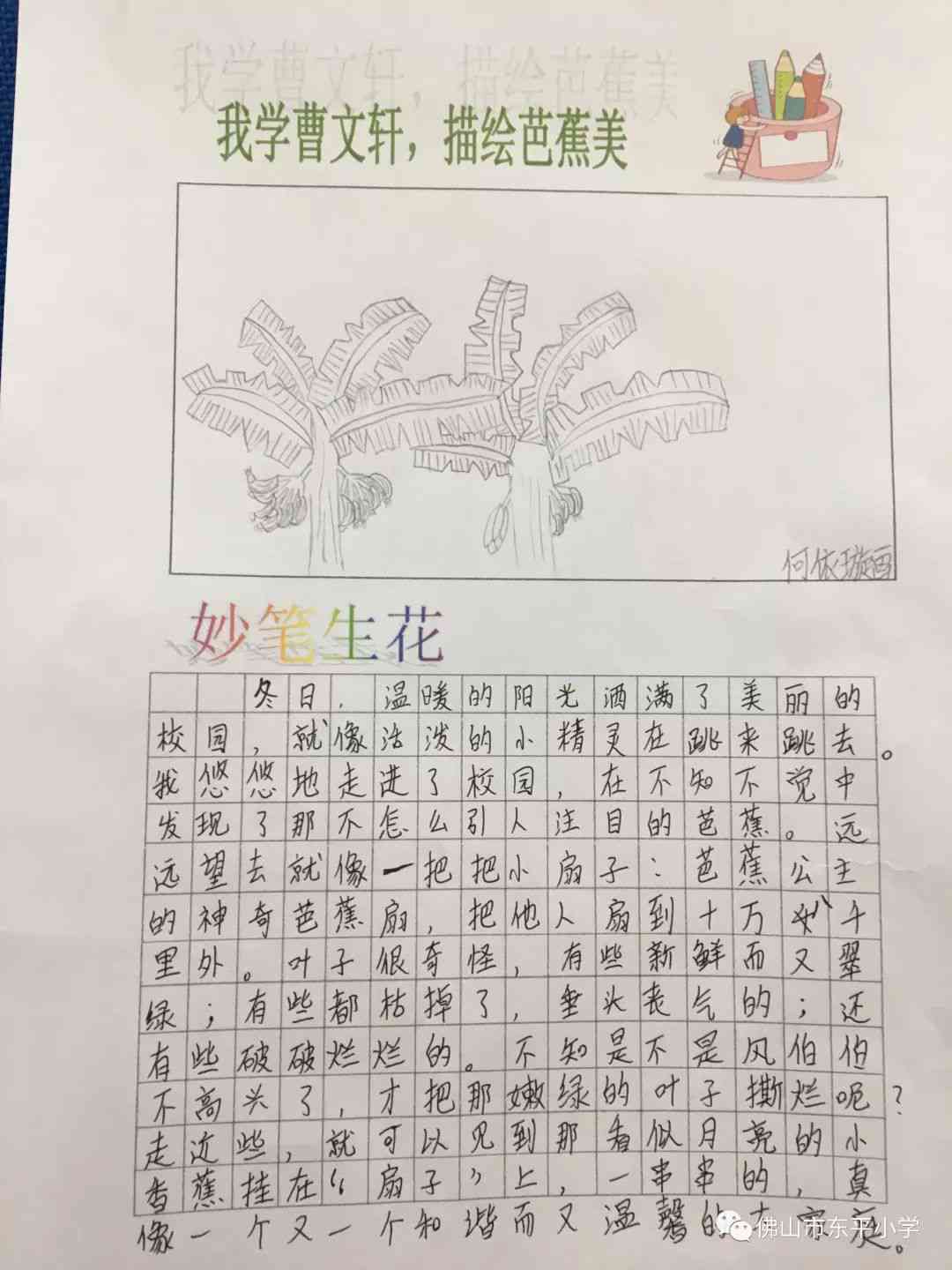 百字蜻蜓作文挑战：100个字描绘生态之美