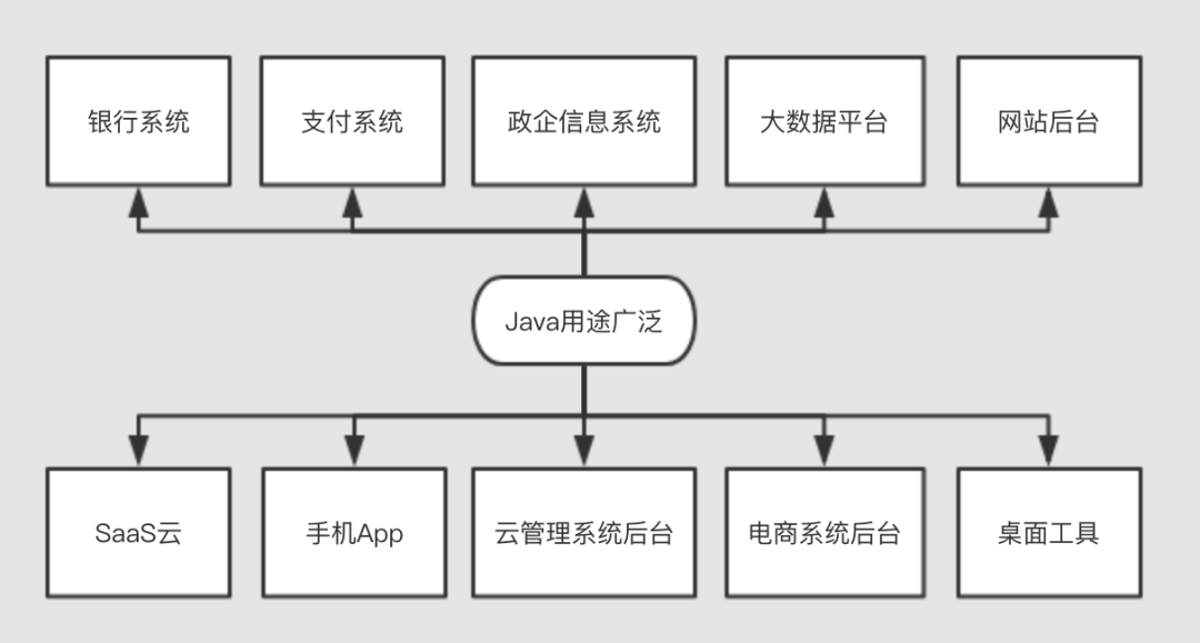 专业脚本编写工具：涵各类编程语言与应用场景的解决方案