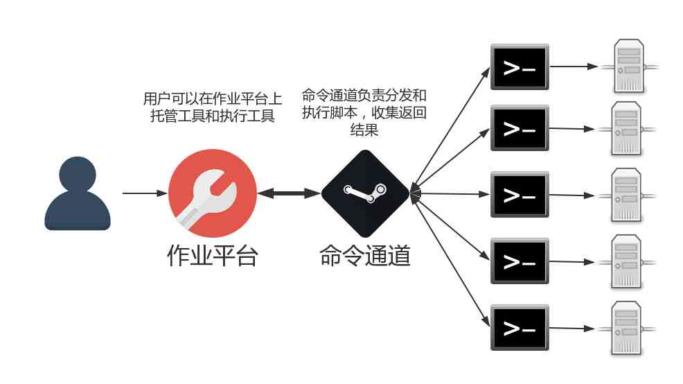 专业脚本编写工具：涵各类编程语言与应用场景的解决方案