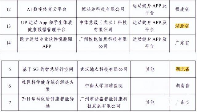 智慧体育项目：名称、实方案、中标结果及项目详情真实性核实