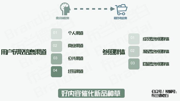 揭秘种草现象：如何让商品成为热门话题