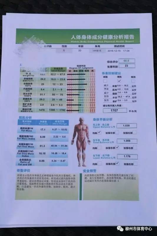 健分析报告怎么写模板：身体状况评估与范文示例