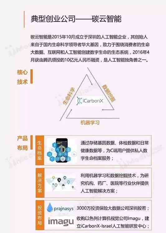 人工智能实训报告：内容详述与操作步骤解析