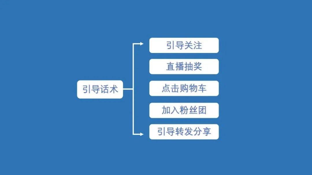 直播脚本参考：综合模板、示例、样本与内容整理