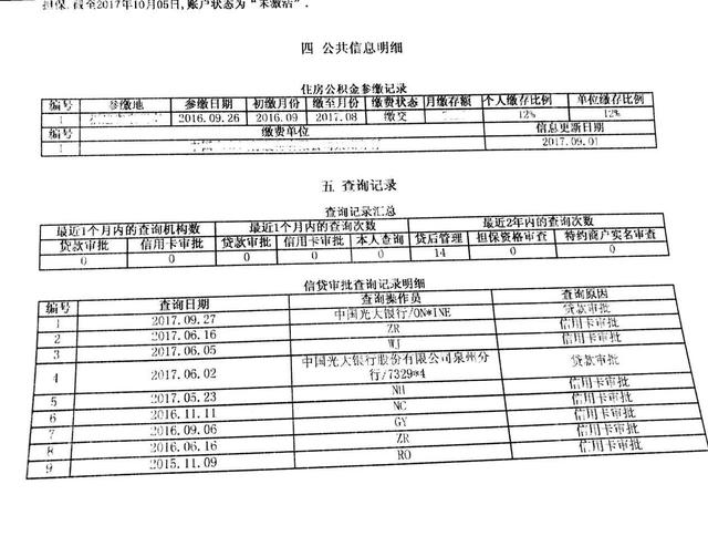 个人贷款审批深度解析：银行个人信贷调查报告典范