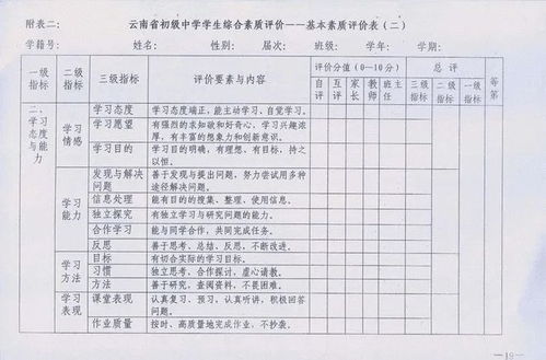 全面指南：如何撰写素质报告册评语及应对各类评价场景