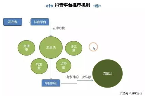 抖音公众号创建与运营攻略：从注册、内容制作到粉丝互动全解析