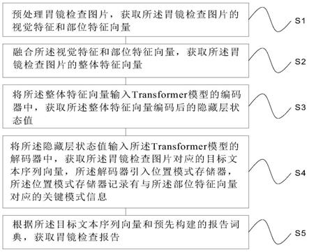 AI辅助胃镜报告解读：全面解析常见疑问与关键信息解析