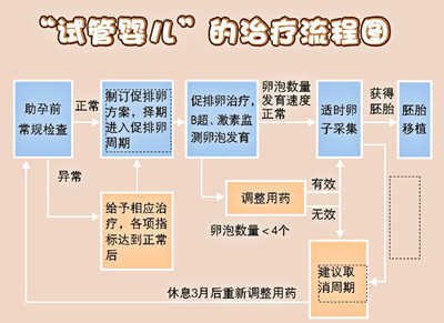 AI检测报告指南：涵常见问题解答与一站式服务