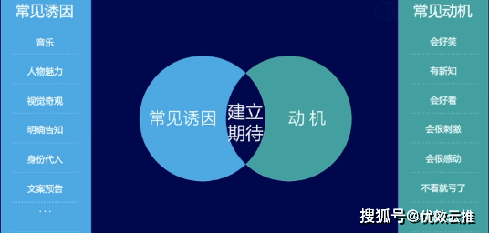 安顺抖音AI文案创作全攻略：轻松掌握技巧，提升视频吸引力与搜索排名