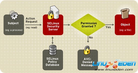 深入解析：AI软件与AN软件的差异化功能及实际应用对比