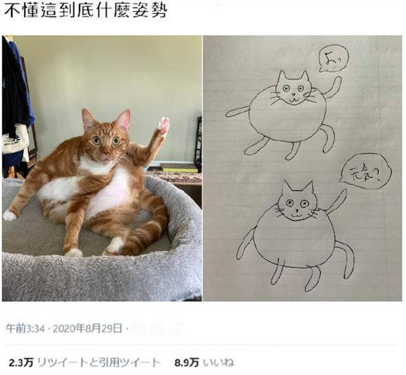 有关AI绘画猫的文案怎么写好看又简单易懂