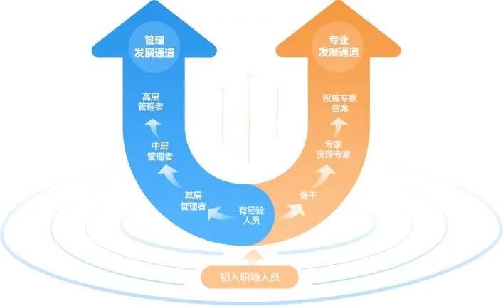 AI艺术创作深度解析：多领域案例洞察与综合效益评估