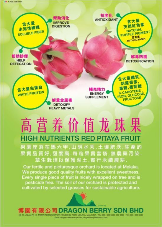 全面解析火龙果（Pitaya）：种植、营养、食谱与应用指南