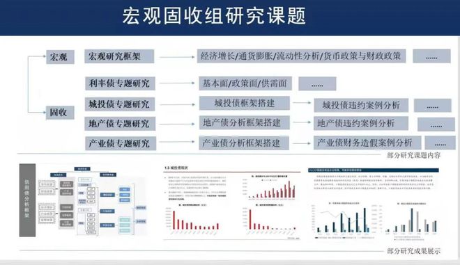 综合观察与分析：深度报告涵关键问题与解决方案解析