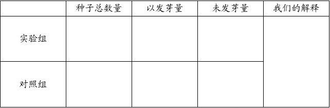 观察报告书：撰写与模板制作及表格应用指南